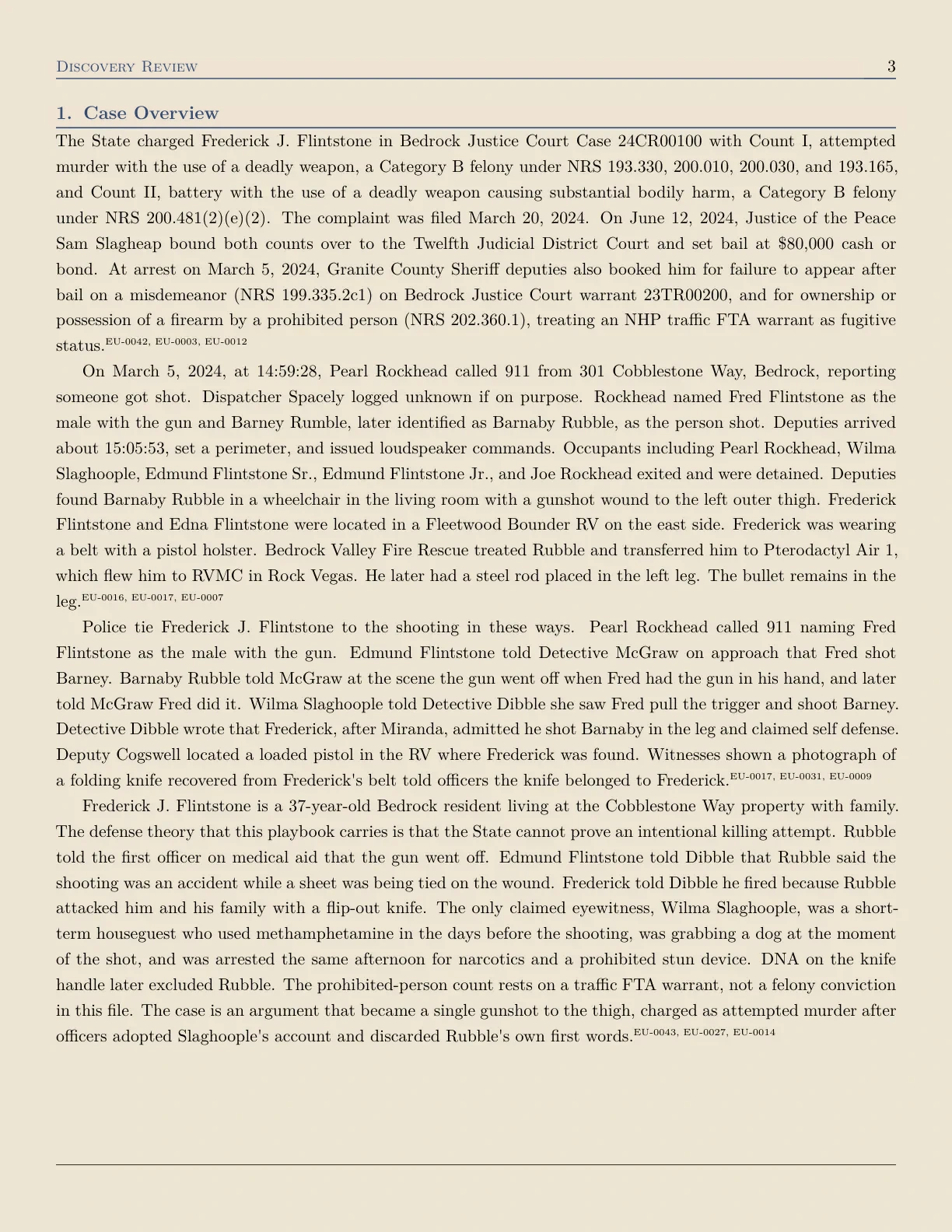 Case overview from the report